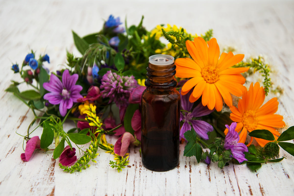 The Secret Language of Scents: Aromatherapy`s Mysteries