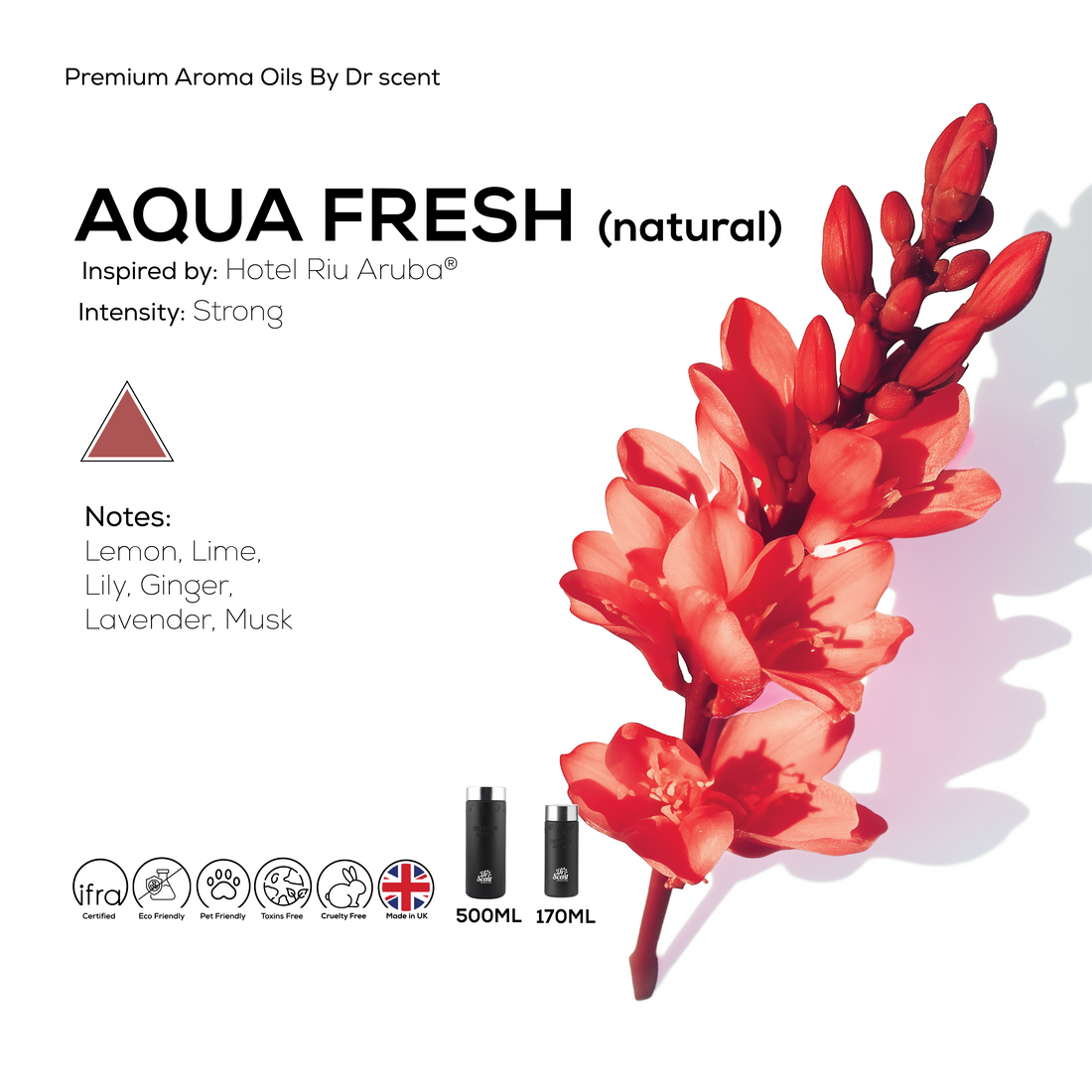 AQUA FRESH / Ginger Blooms-  CLINICS - SALONS