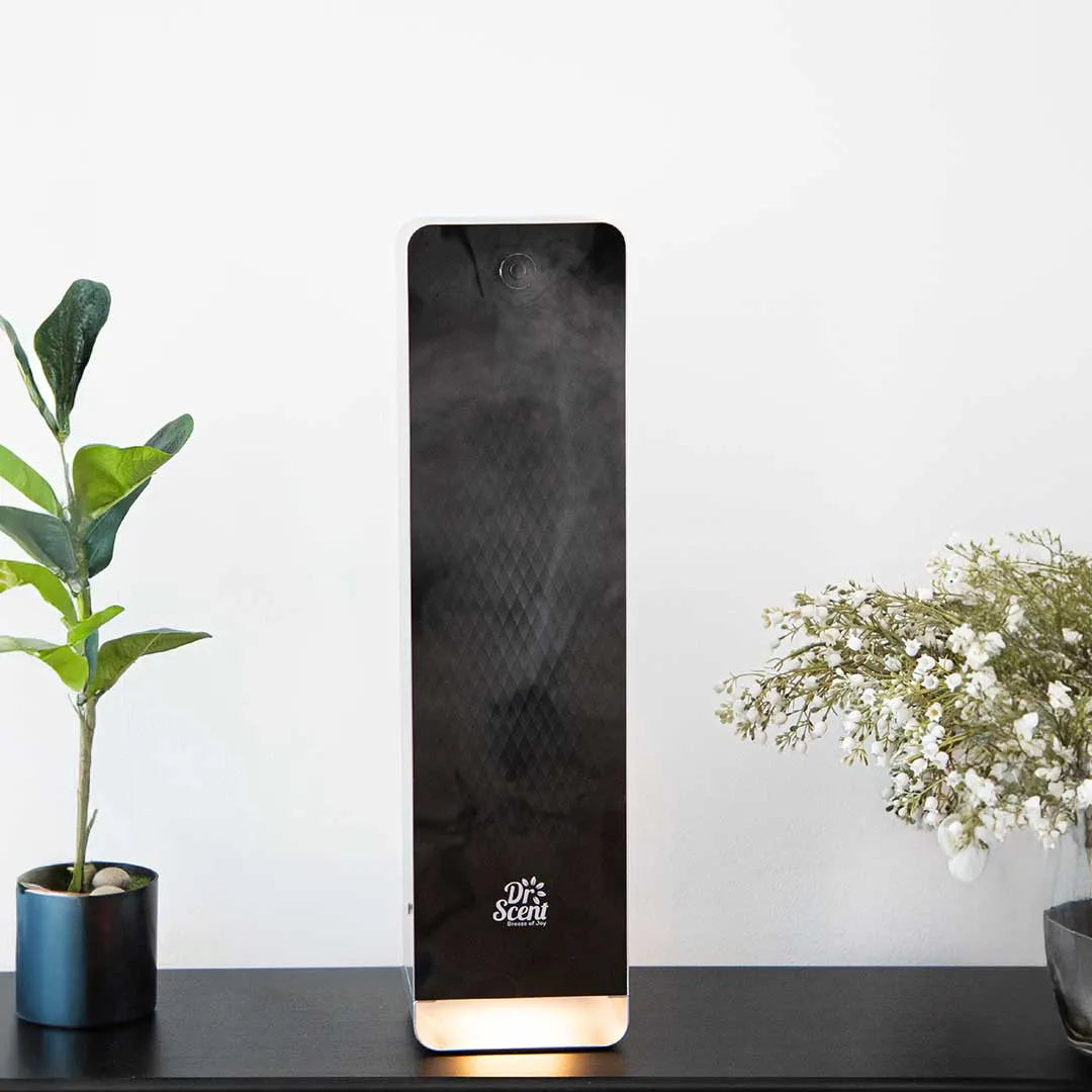Standalone Phantom ( Medium )