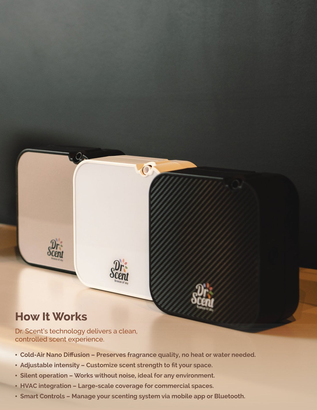 DR BLACK SMALL DIFFUSER 2025 BUNDLE OFFER