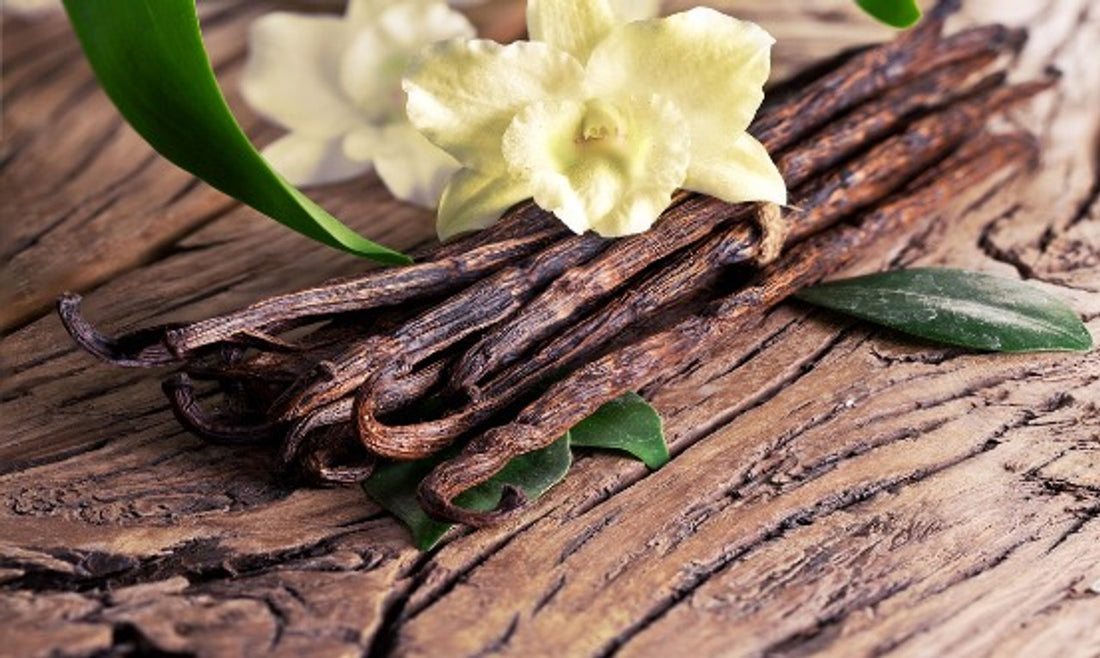 OUD WOOD ( VIP ) - BULGARI HOTEL®