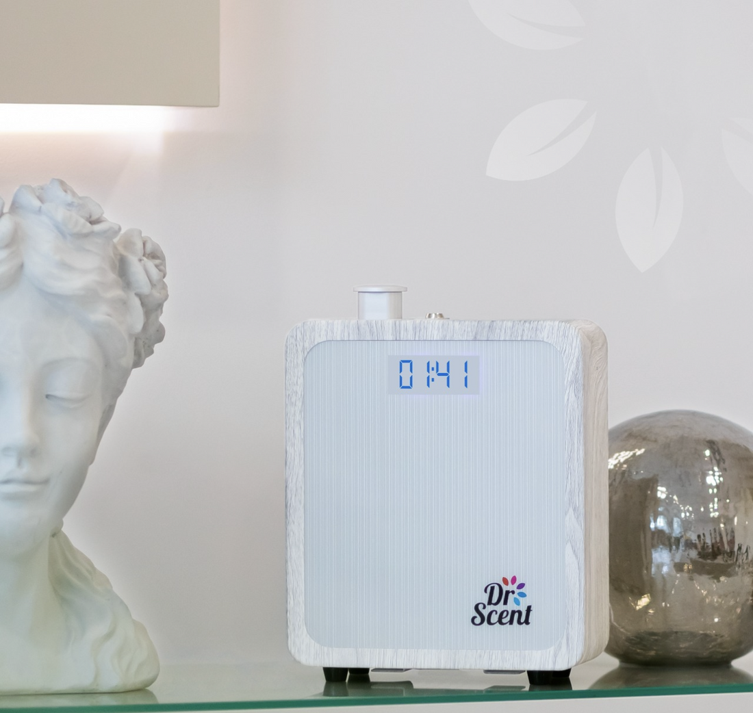 Elite Medium | 3,500 sq ft